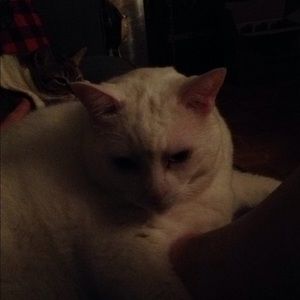 Meet your Posher, Chantal